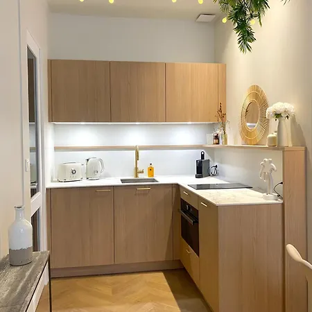 Coeur De Apartment *