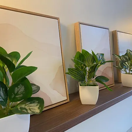 Coeur De Apartment